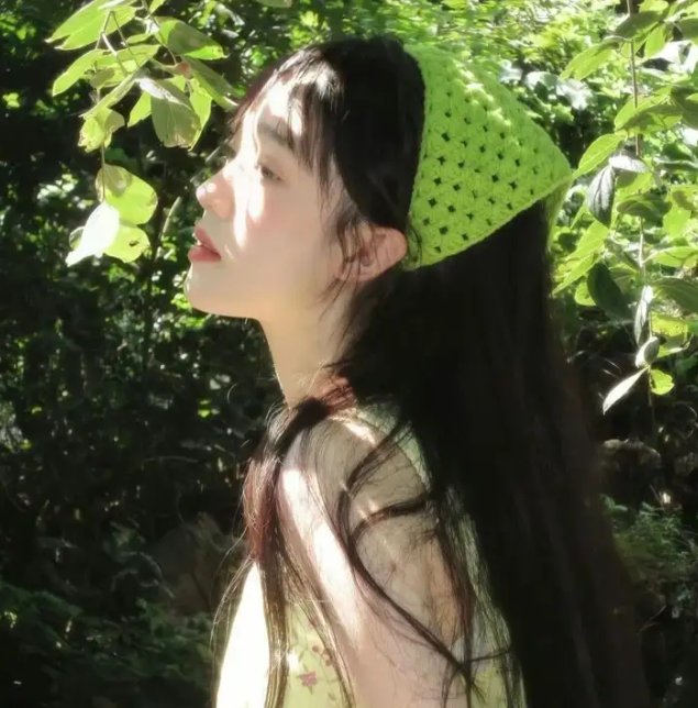 大象之梦